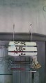 20150609_113216.JPG